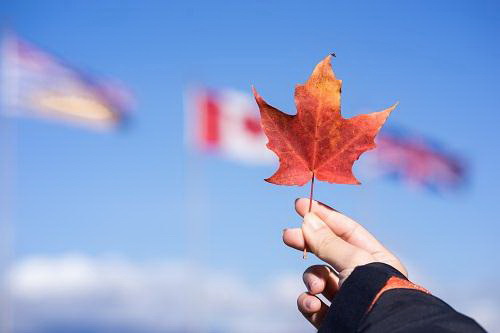 刷分攻略：你的加拿大移民分数表未达标怎么办？